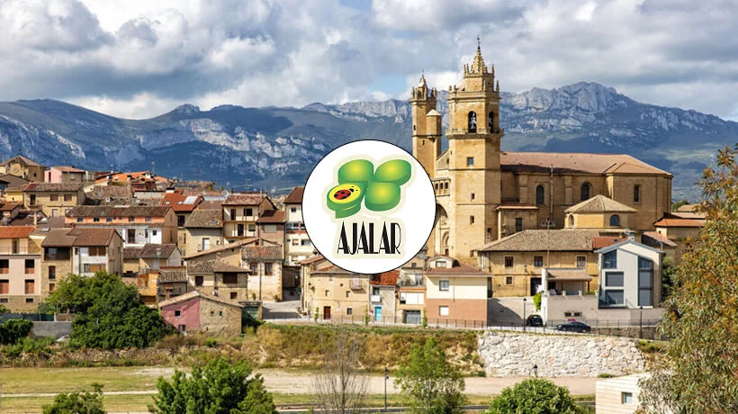 BetNor wins first Argentine provincial licence in La Rioja