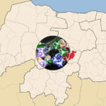 Brazilian cities launch local lotteries despite federal warnings