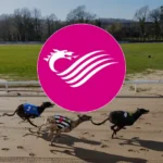 Welsh committee slams rushed greyhound racing ban