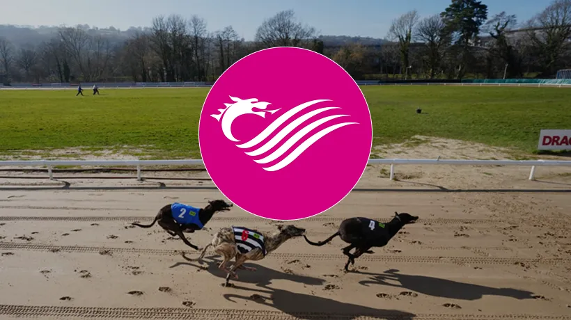 Welsh committee slams rushed greyhound racing ban