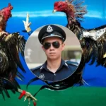 Malaysian authorities seize 81 fighting cocks in gambling raid