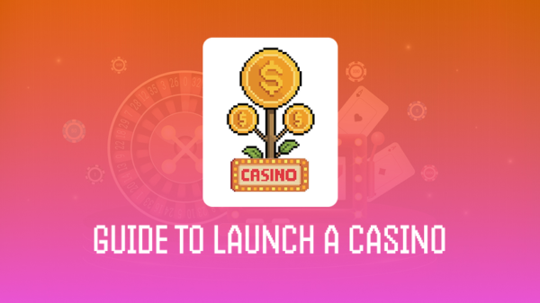 Online Casino as a Business: A Guide to Launch and Management