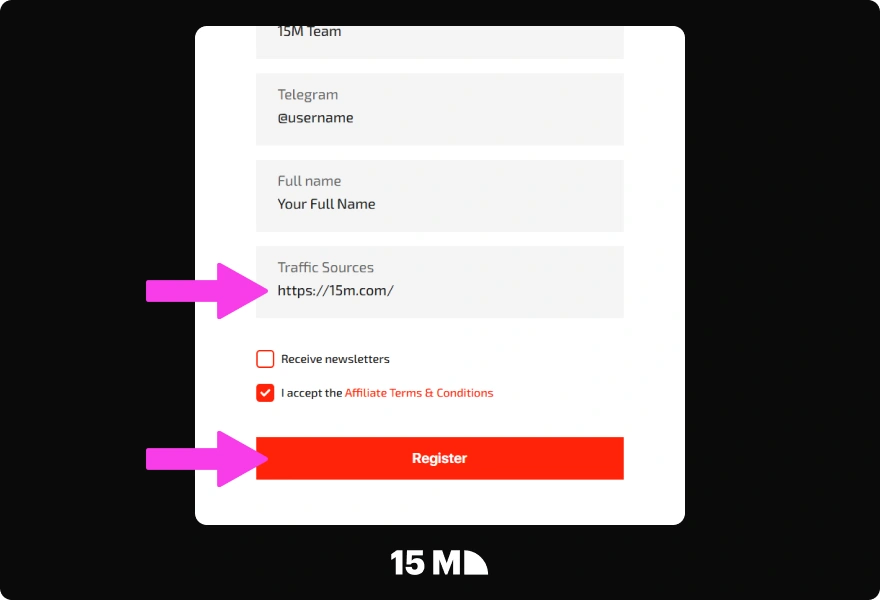 Add your traffic sources and target regions in the N1 Partners registration form