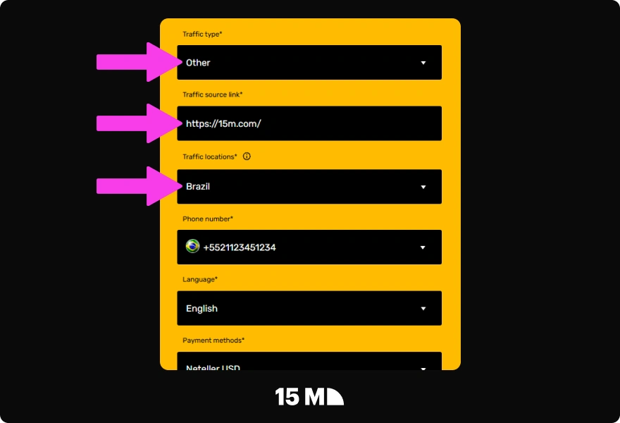 Choose your traffic type, source link, and GEO in the MelBet Partners registration form