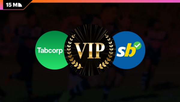 Senate Claims Put Bookmaker VIP Programmes Under Scrutiny