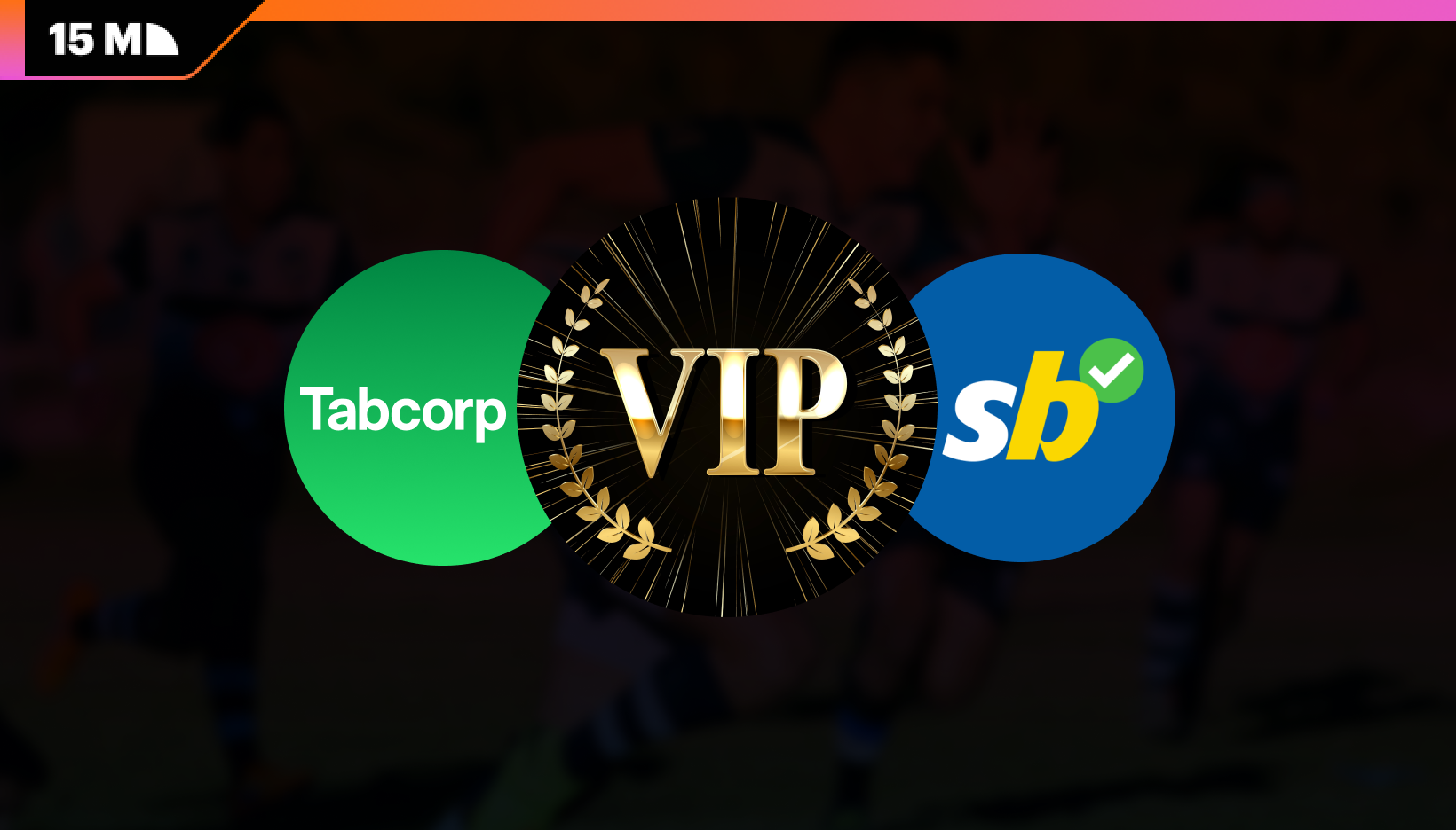 Senate Claims Put Bookmaker VIP Programmes Under Scrutiny