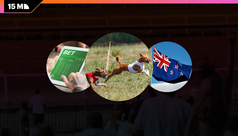 New Zealand has shut down greyhound racing, but betting on overseas races continues